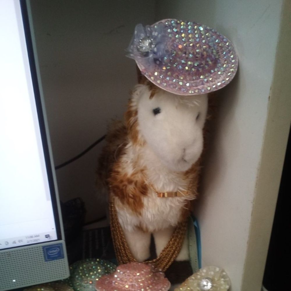 Meet your Posher, Janelle